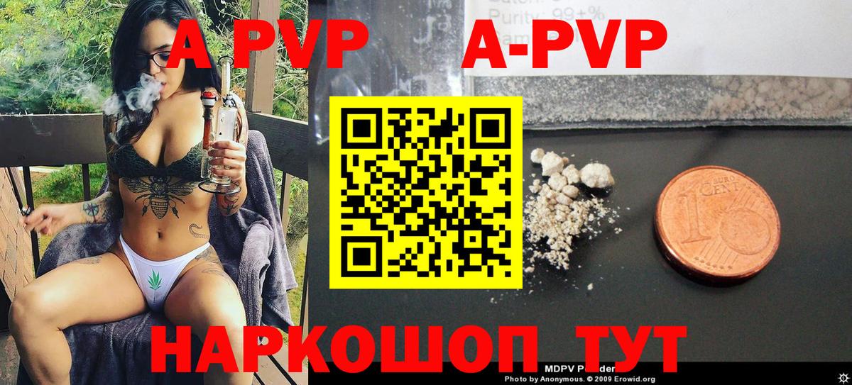 A-PVP СК Петрозаводск