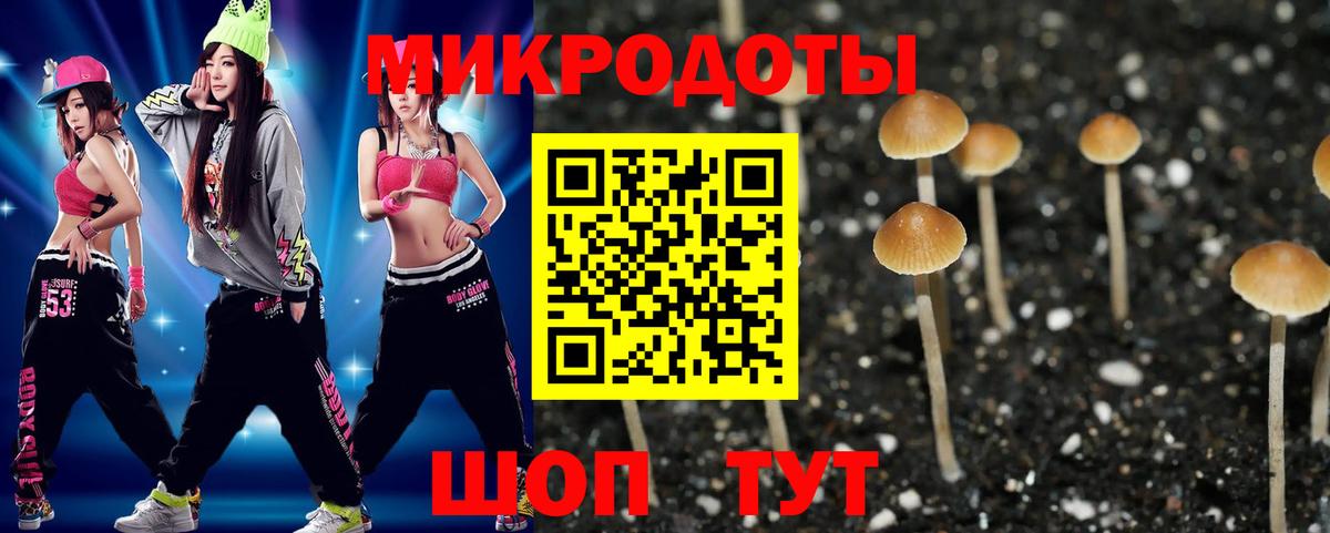 Галлюциногенные грибы мицелий  Псилоцибиновые грибы GOLDEN TEACHER  Вход с VPN  Петрозаводск 